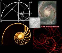 Magija broja - Zlatni presek Spirala